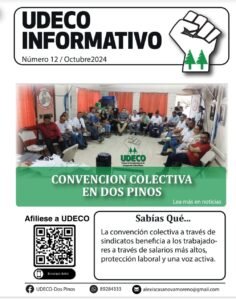 Boletín 12